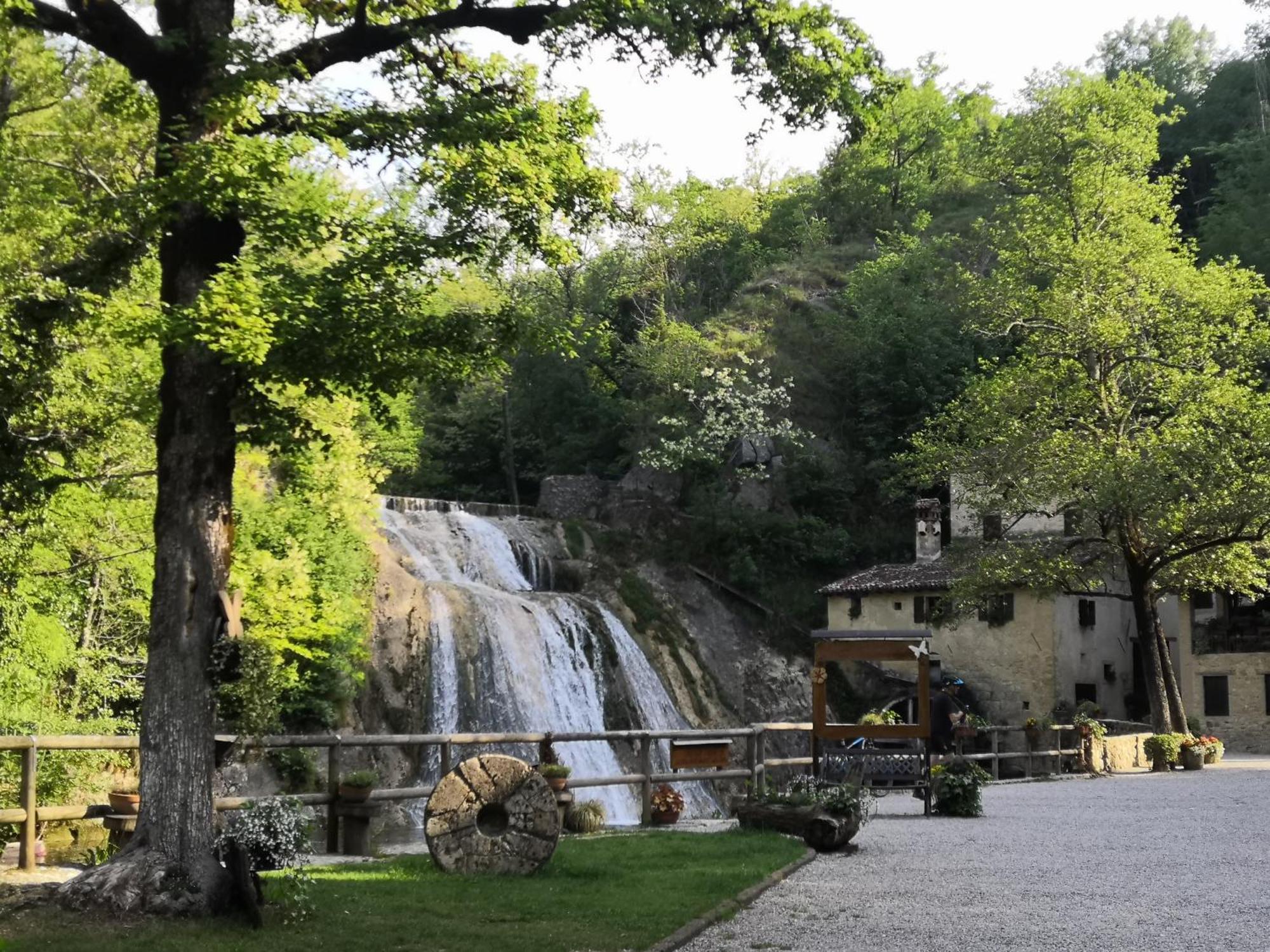 Hotel Locazione Lilibet Conegliano Esterno foto